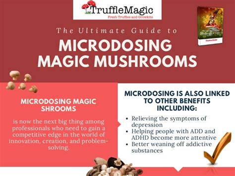 Mind, Body, and Spirit: The Holistic Approach to Developing a Magic Mushroom Habit